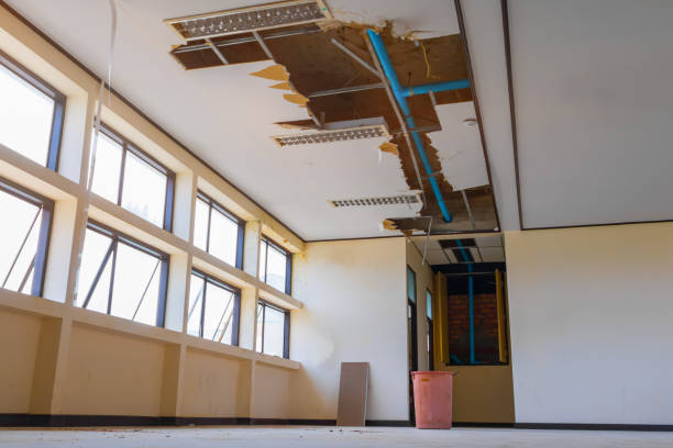 Best Water damage contractors near me  in Lincoln Village, CA