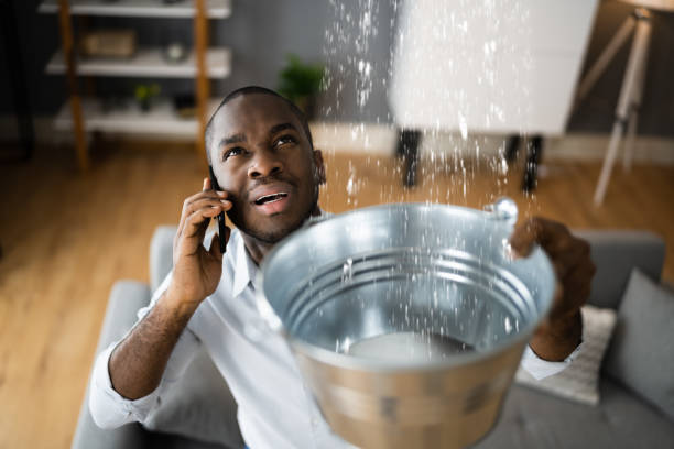 Best Local water damage restoration  in Lincoln Village, CA