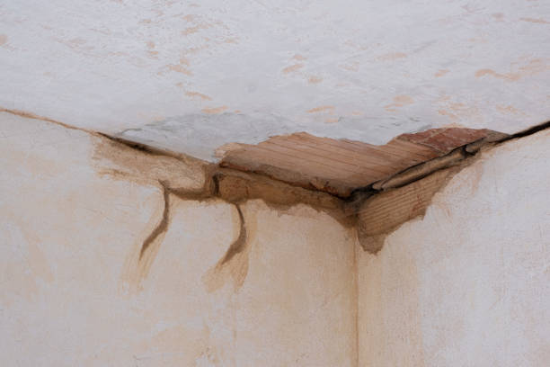 Best Water damage contractors near me  in Lincoln Village, CA