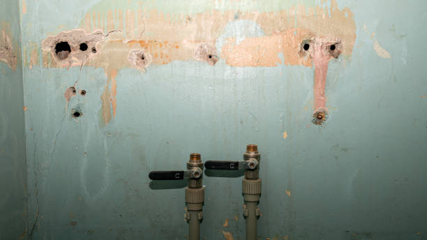 Best 24-hour water damage restoration  in Lincoln Village, CA