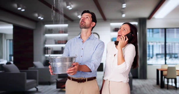 Best Flood damage cleanup  in Lincoln Village, CA