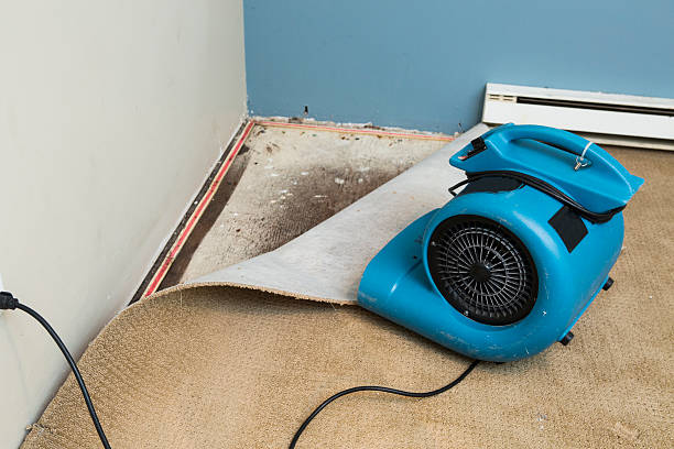Best Ceiling water damage repair  in Lincoln Village, CA